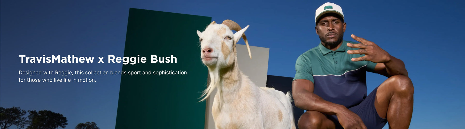 Reggie Bush