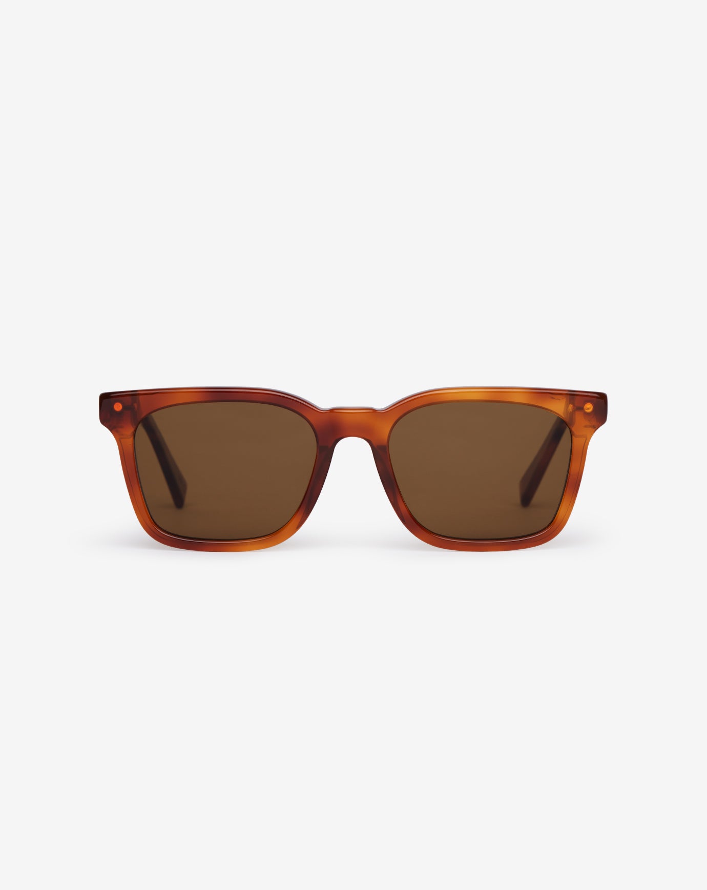Seacliff Sunglasses