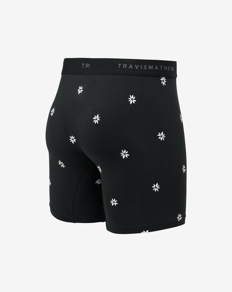 Rome Around Boxer
